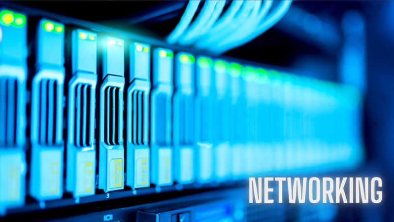 IT Specialist: Networking Course