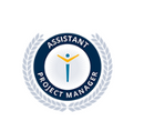 Assistant Project Manager