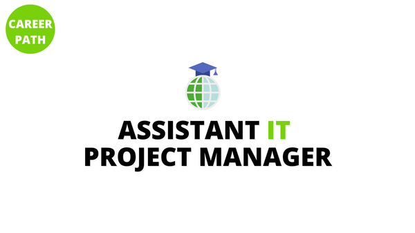 Assistant IT Project Manager