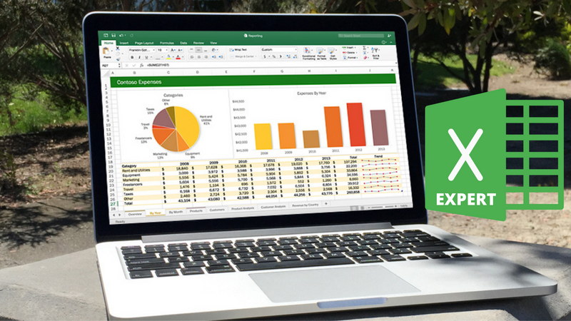 Microsoft Office Excel Expert Course