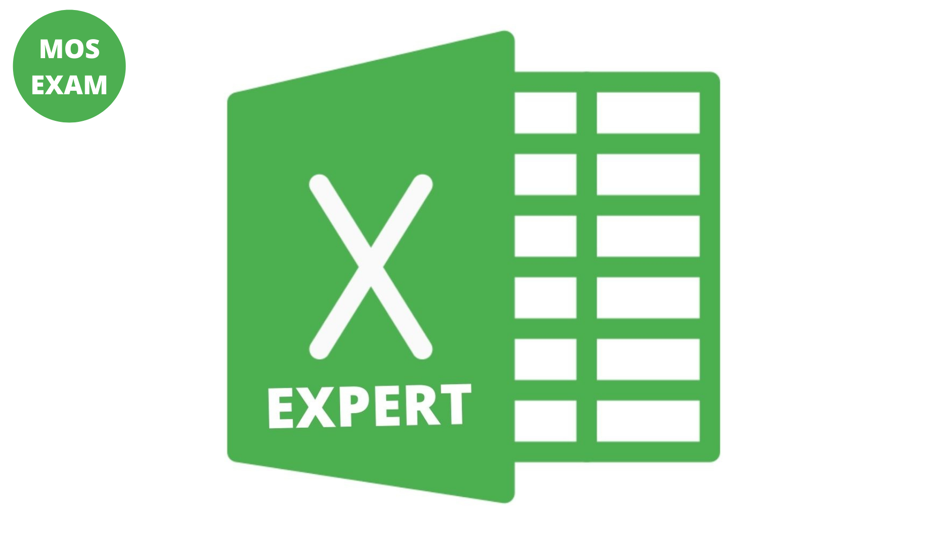 Microsoft Excel Exam Expert Stellietech