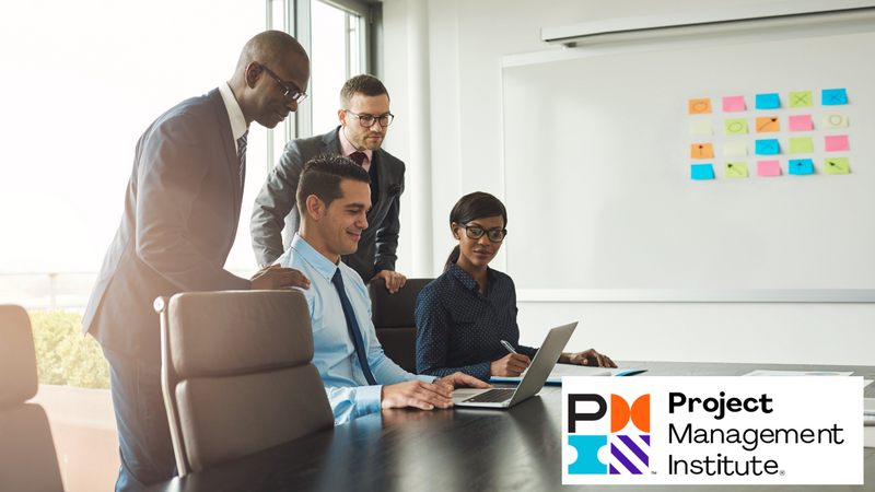Project Management (PMI) Course